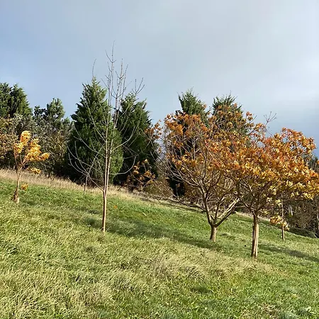 Portizuelo Luarca
