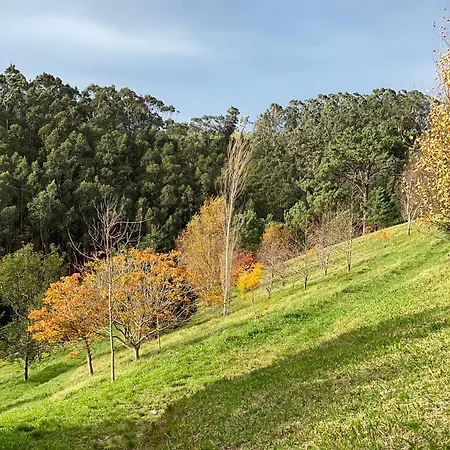 מלון Portizuelo לוארקה
