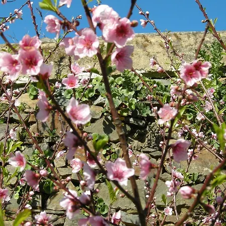 Portizuelo 3* Luarca