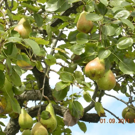 Portizuelo מלון לוארקה