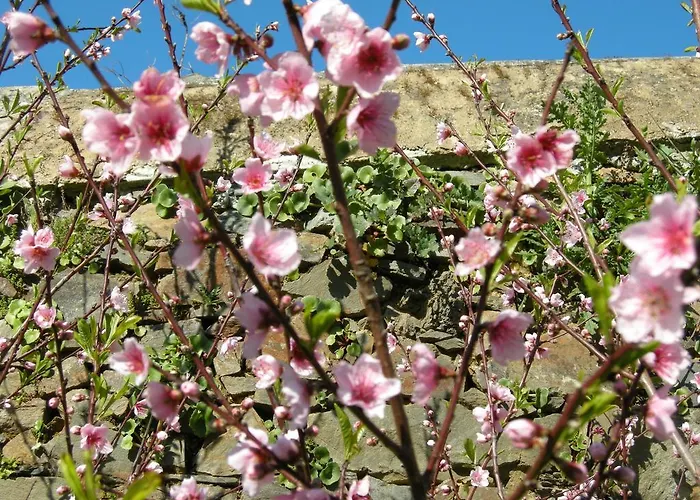 Portizuelo 3* Luarca