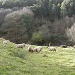 מלון Portizuelo לוארקה