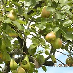 Portizuelo מלון לוארקה