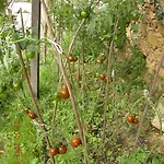 Portizuelo מלון