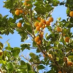 מלון Portizuelo לוארקה