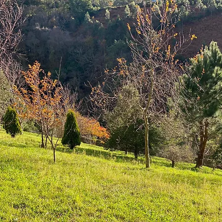 Portizuelo Hotell 3*