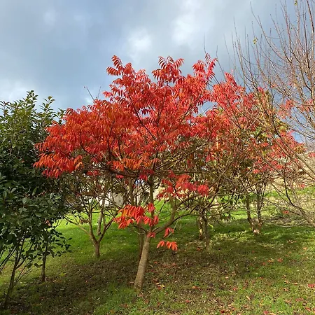 Portizuelo 3* Luarca