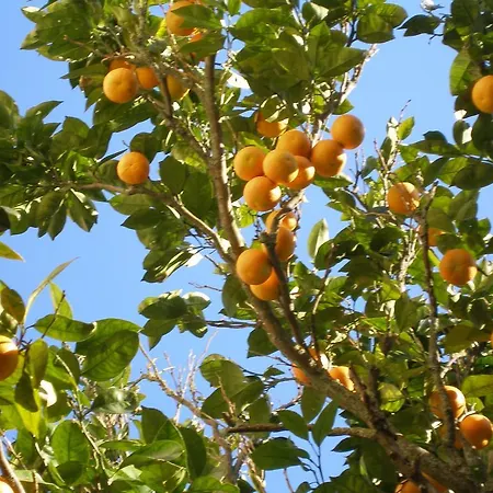 Hotell Portizuelo Luarca